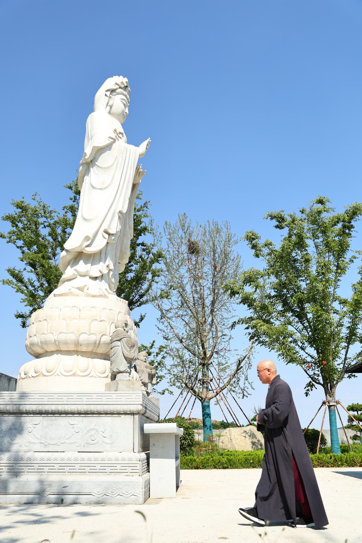 《 法师风采 》更多图片 4