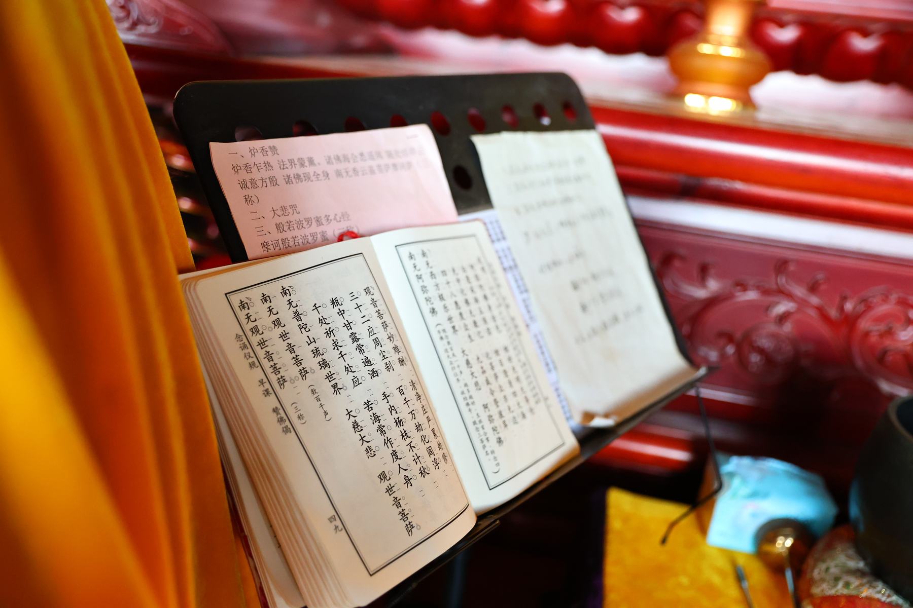 《 法师风采 》更多图片 7