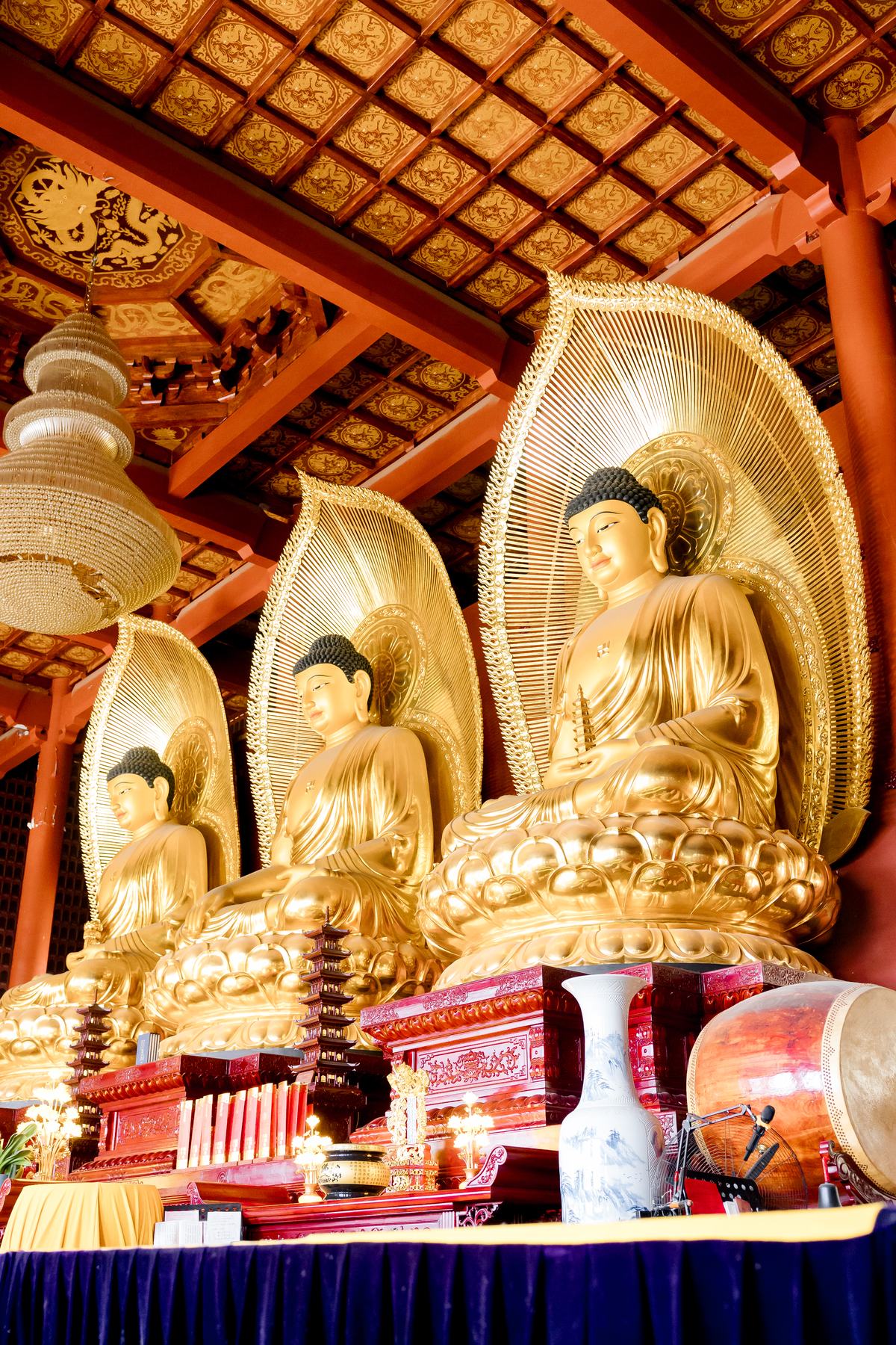 《 清净静物 》更多图片 37