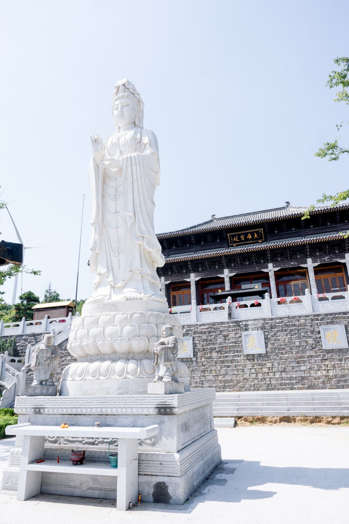 《 清净静物 》更多图片 44