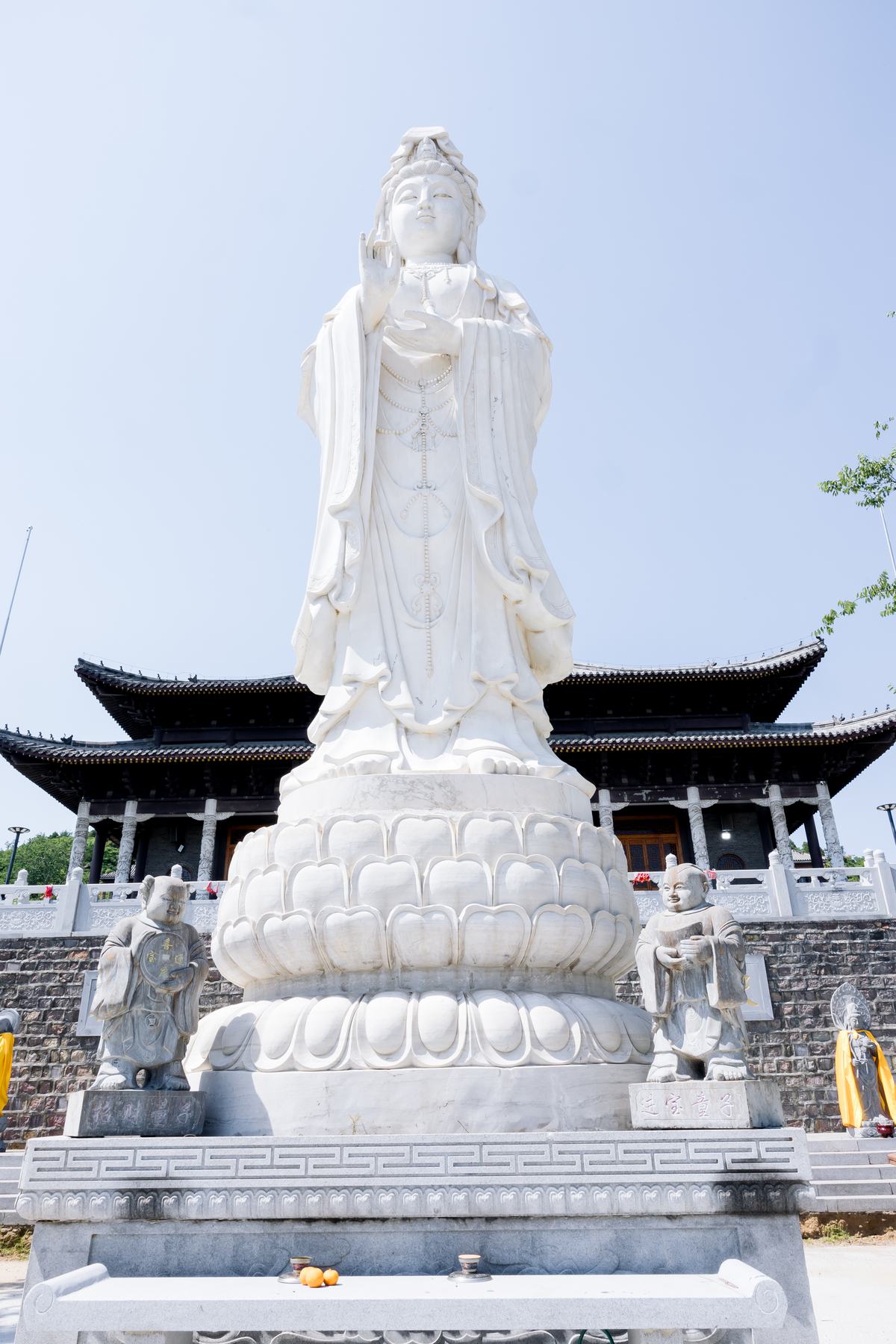《 清净静物 》更多图片 47