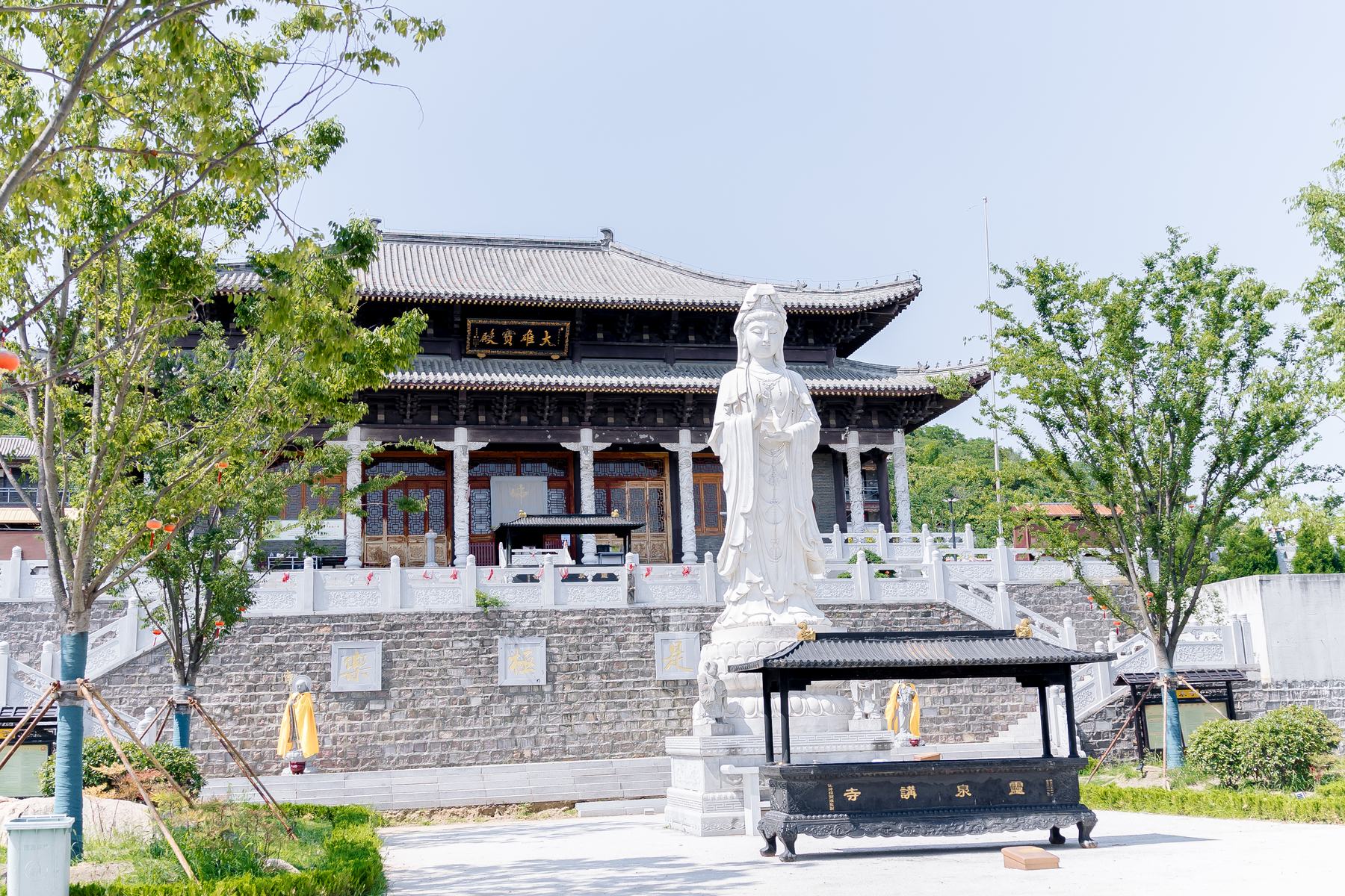 《 清净静物 》更多图片 49