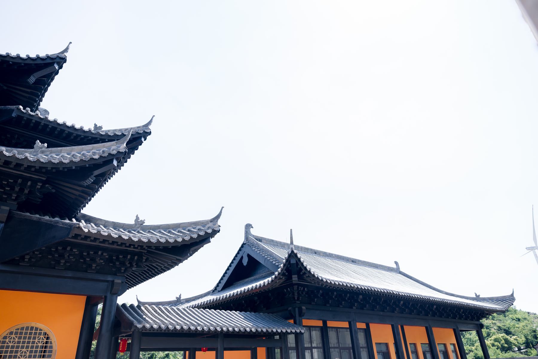 《 清净静物 》更多图片 51