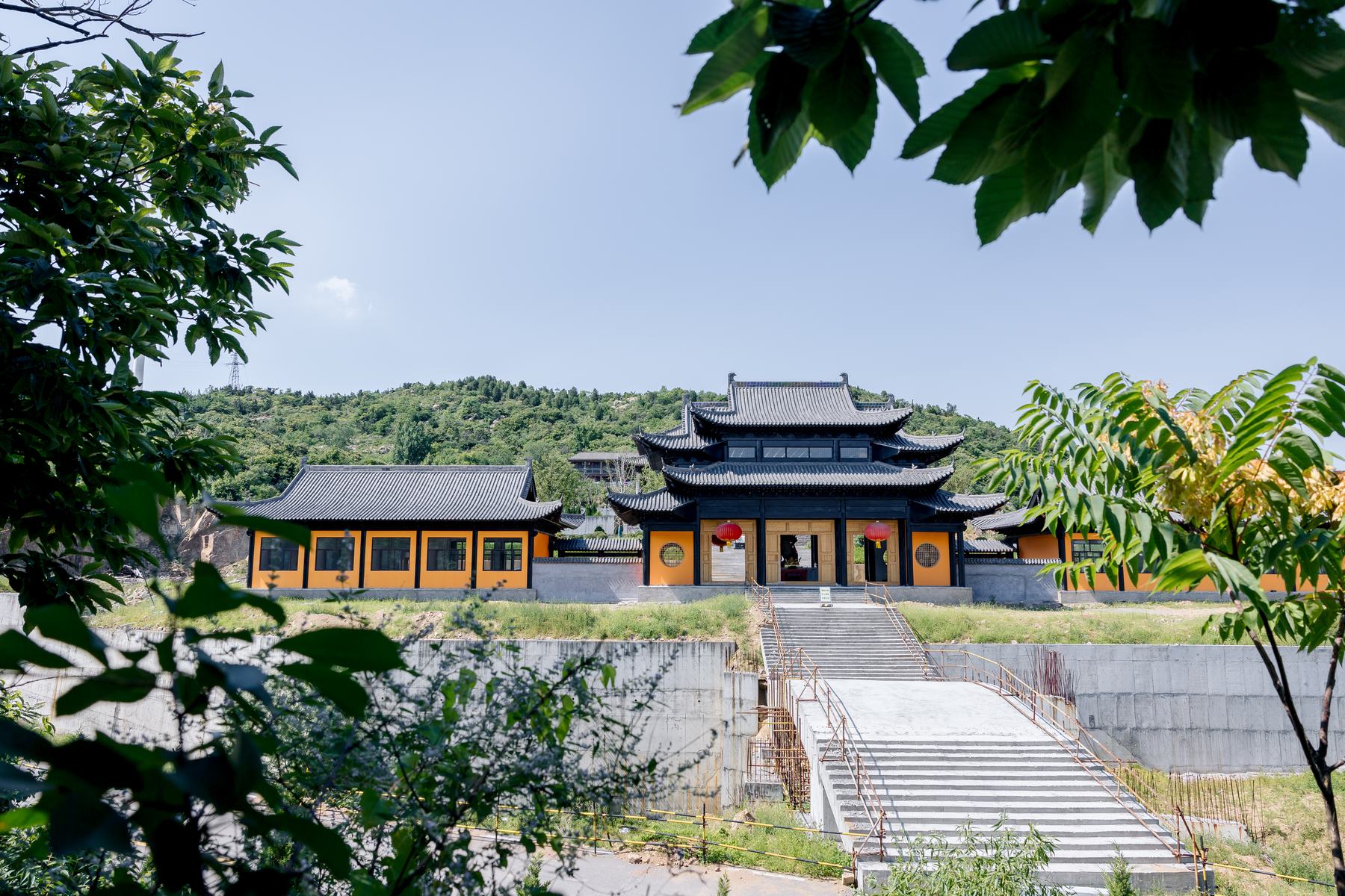 《 清净静物 》更多图片 62