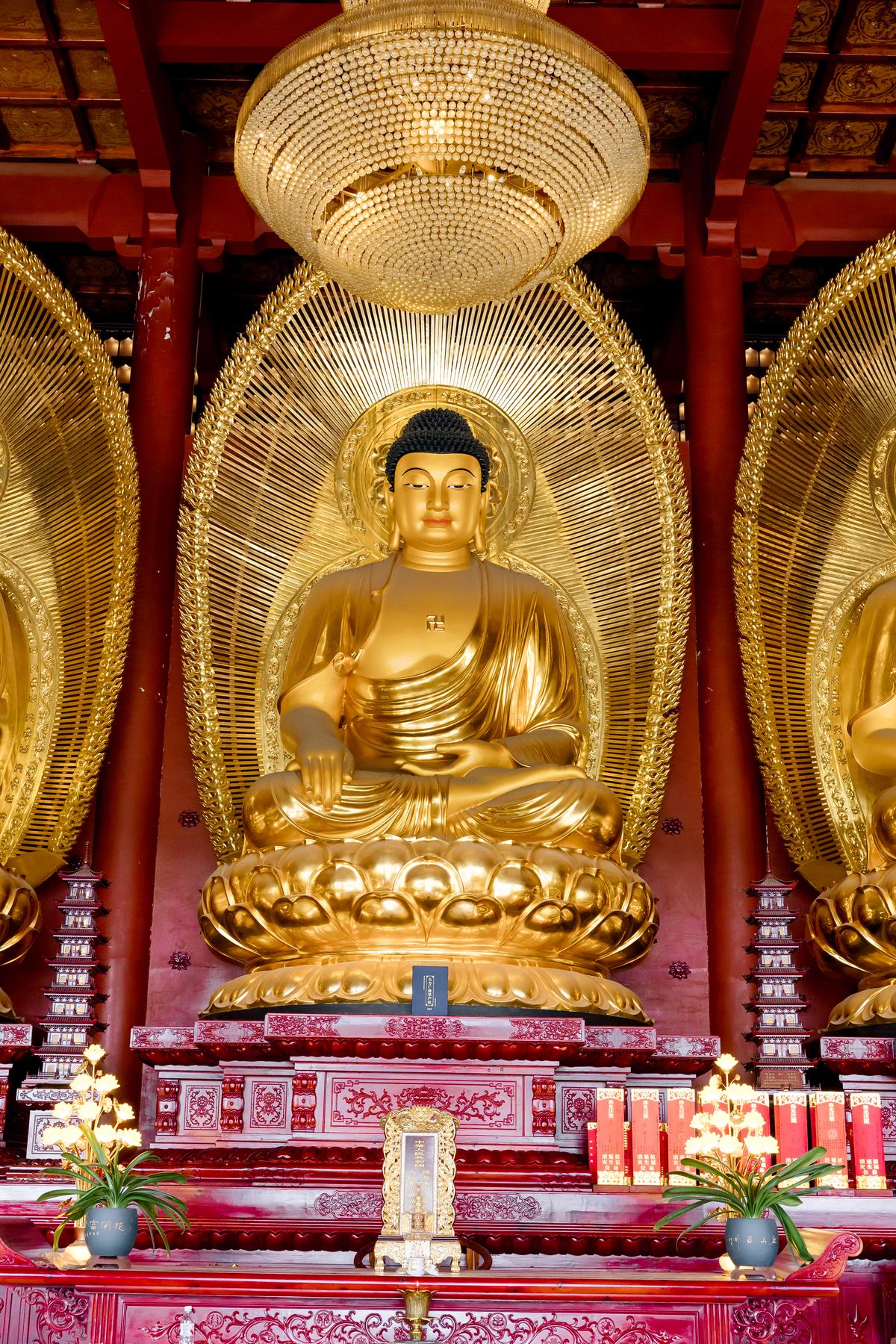 《 清净静物 》更多图片 6
