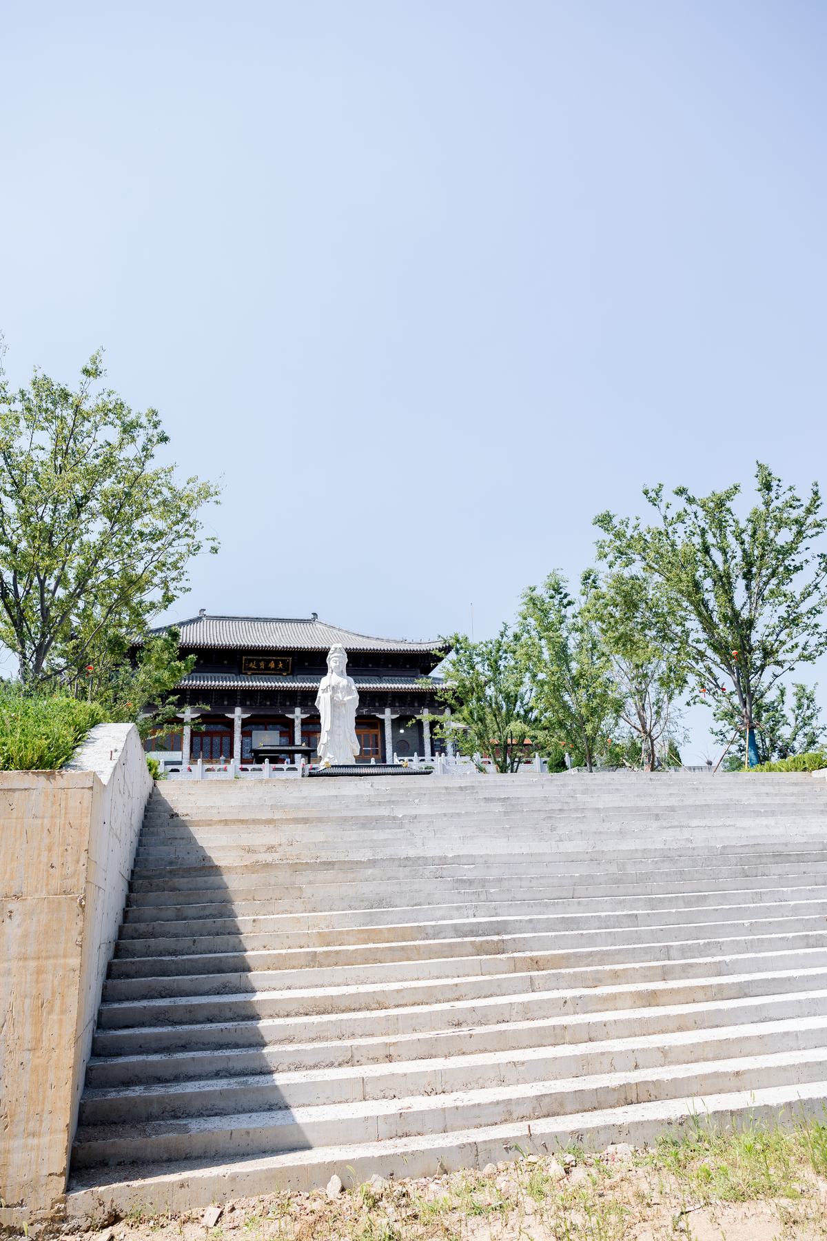 《 清净静物 》更多图片 14